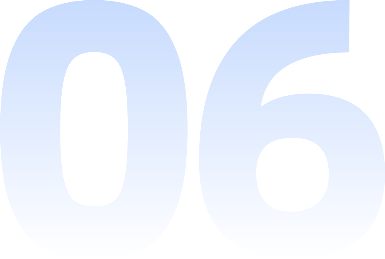 06